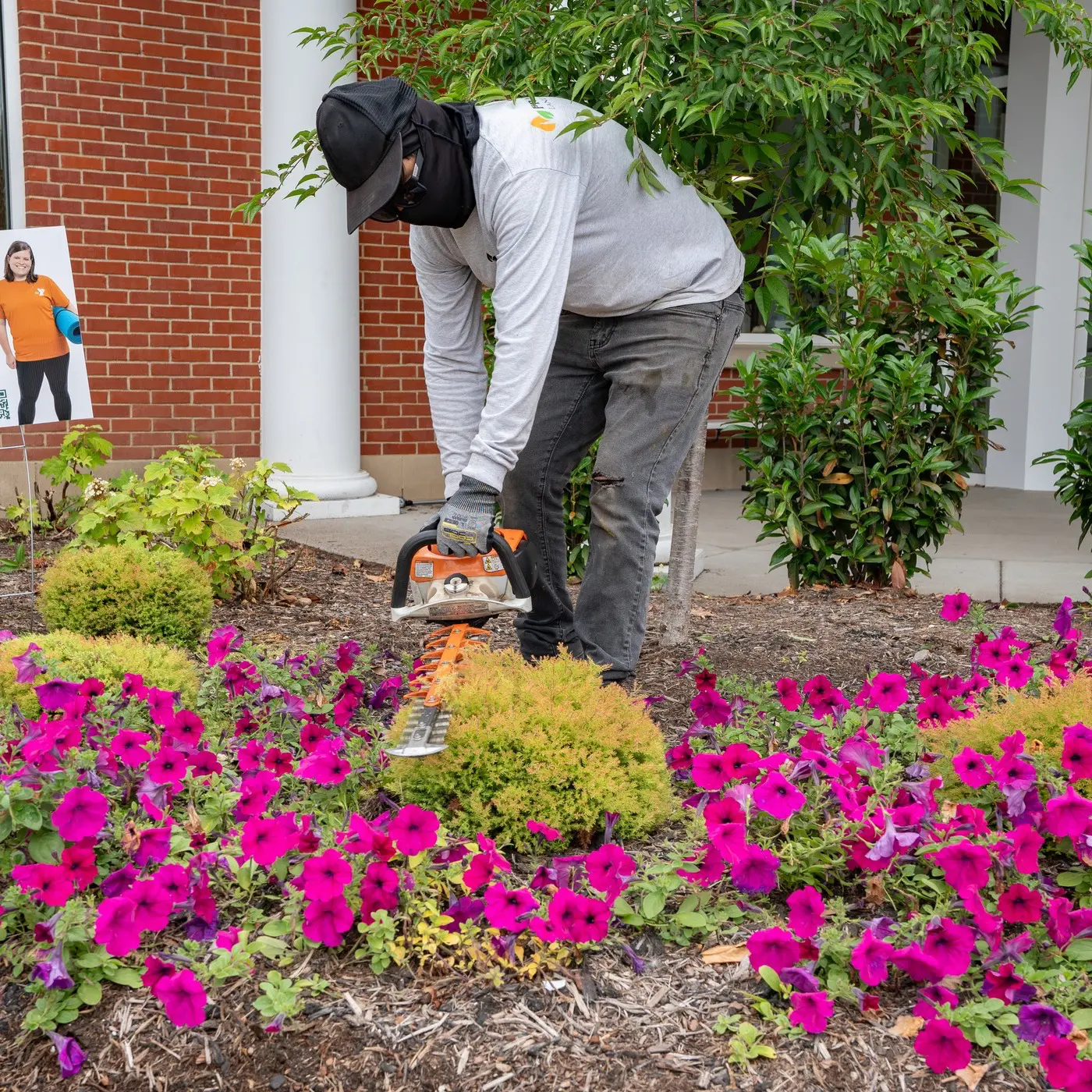 Shrubs Pruning
